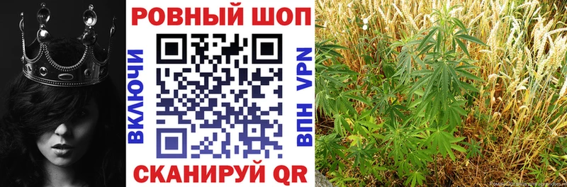 Где можно купить наркотики Арамиль Марихуана Кокаин ГАШ АМФЕТАМИН Меф APVP