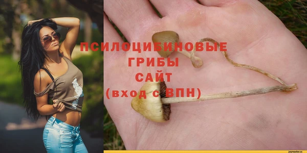 каннабис Михайловск