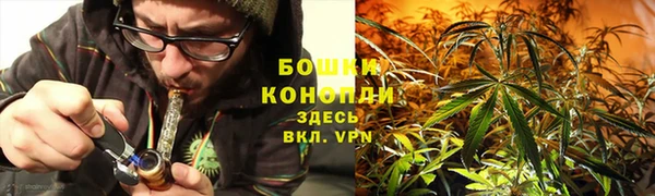 прущие крисы Михайловка