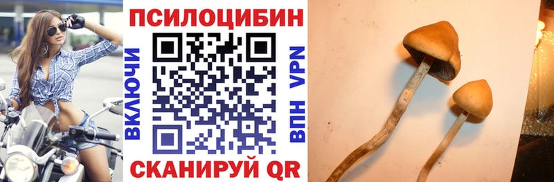 Псилоцибиновые грибы Psilocybe  Арамиль 